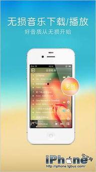 娱乐吃瓜君修手机,揭秘手机维修背后的故事